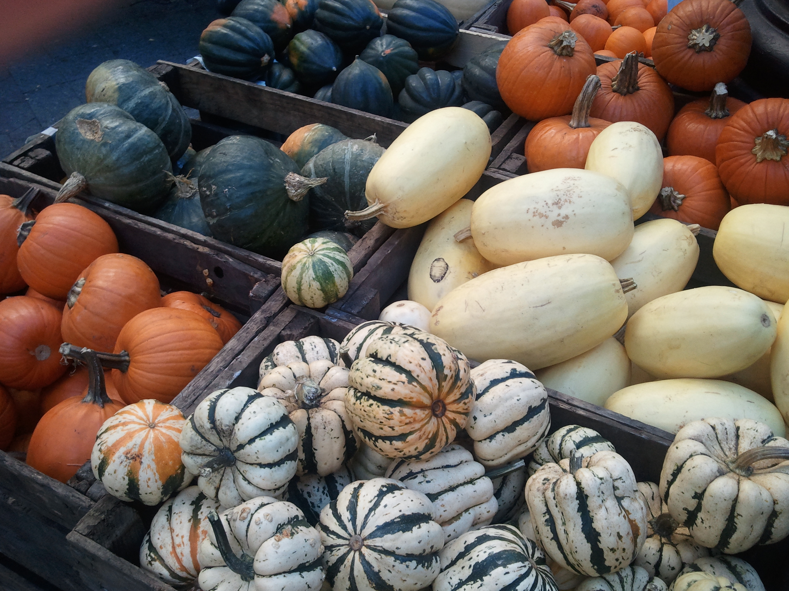 Winter Gourds